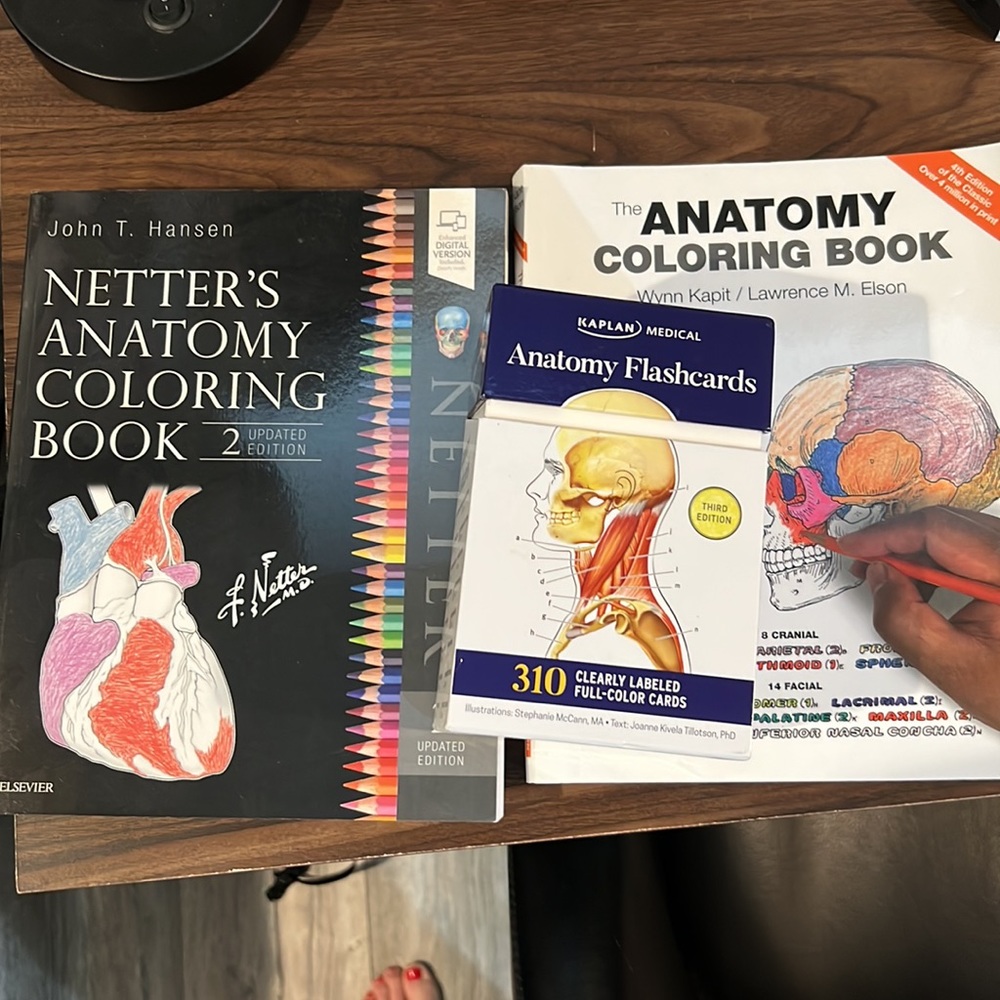 Kaplan anatomy flashcards